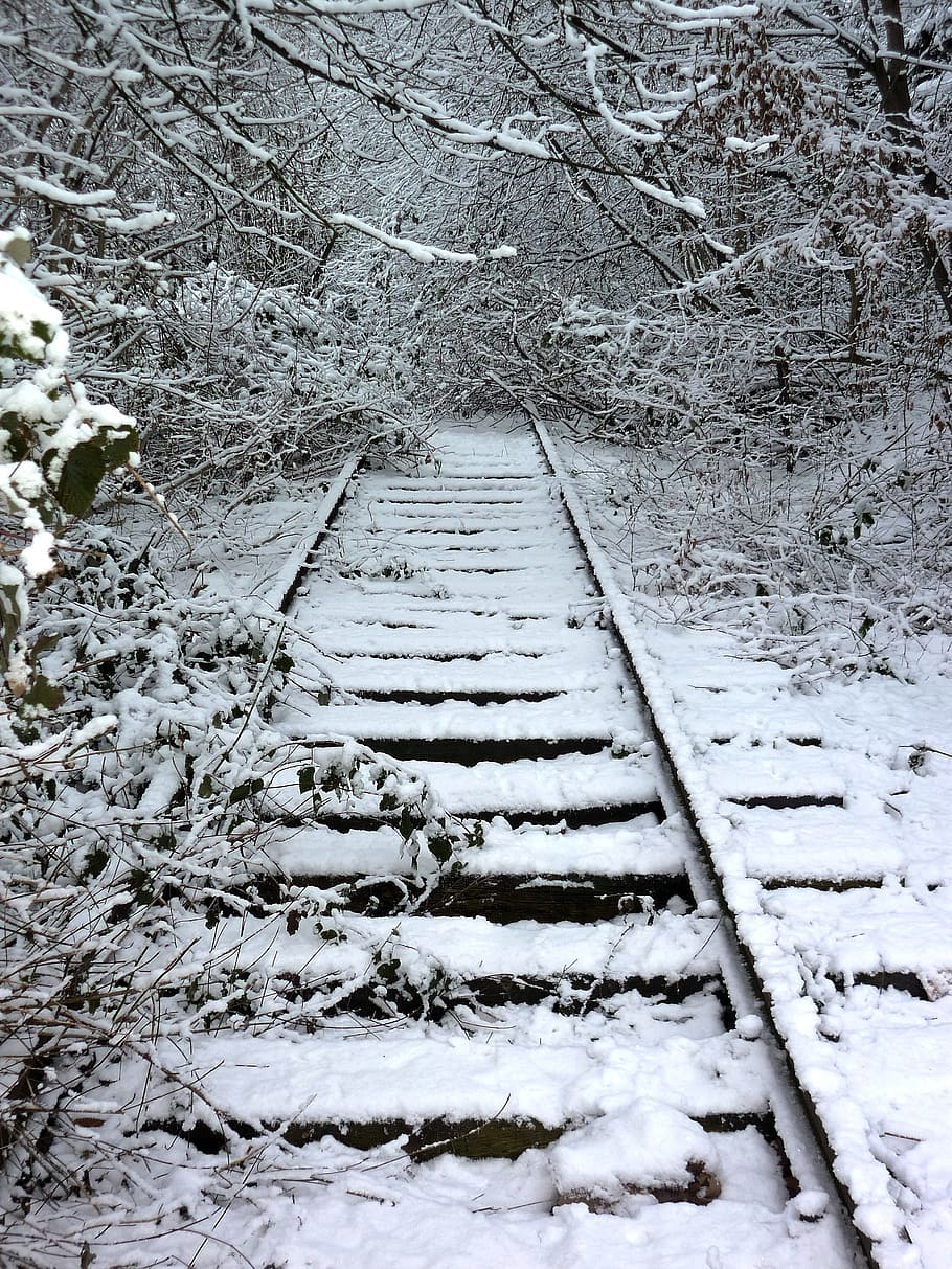 trek, musim dingin, kereta api, tampak, ditumbuhi, akhir, salju, suhu dingin, jalan maju, pohon