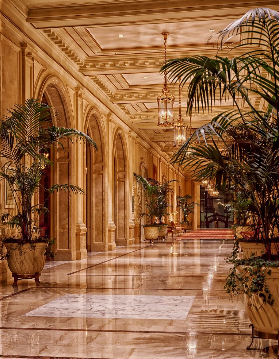 gold-colored pendant lamp, sheraton palace hotel, lobby, architecture, san francisco, plants, landmark, losing, lights, lighting
