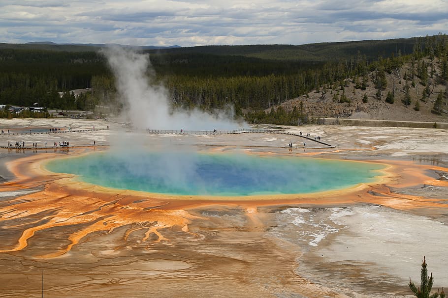 body, water, trees, grand prismatic, views, the scenery, united states national parks, geyser, yellowstone National Park, hot Spring
