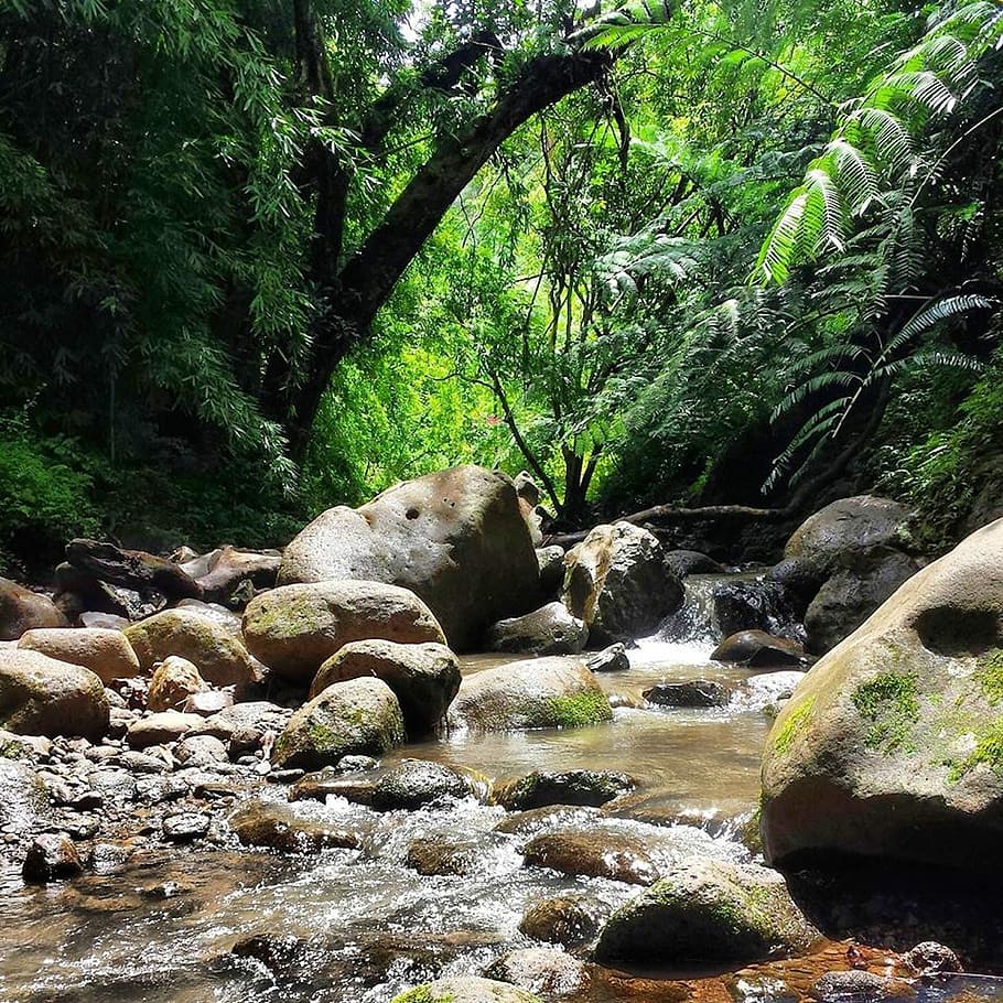 Nature Peaceful Tranquil Outdoor Hiking Stone Peace Relaxation Animals In The Wild Rock Object Pxfuel