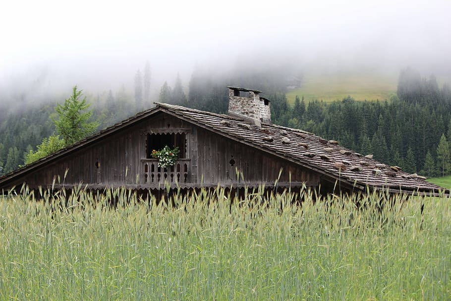 mountain hut, log cabin, wood shingle roof, rye, maria luggau, lesachtal, fog, alm, hut, vacation