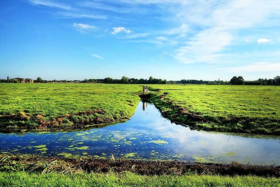 landscape photography, green, grass field, waterway, grassy banks, meadows, rural, farmland, polder, dutch landscape
