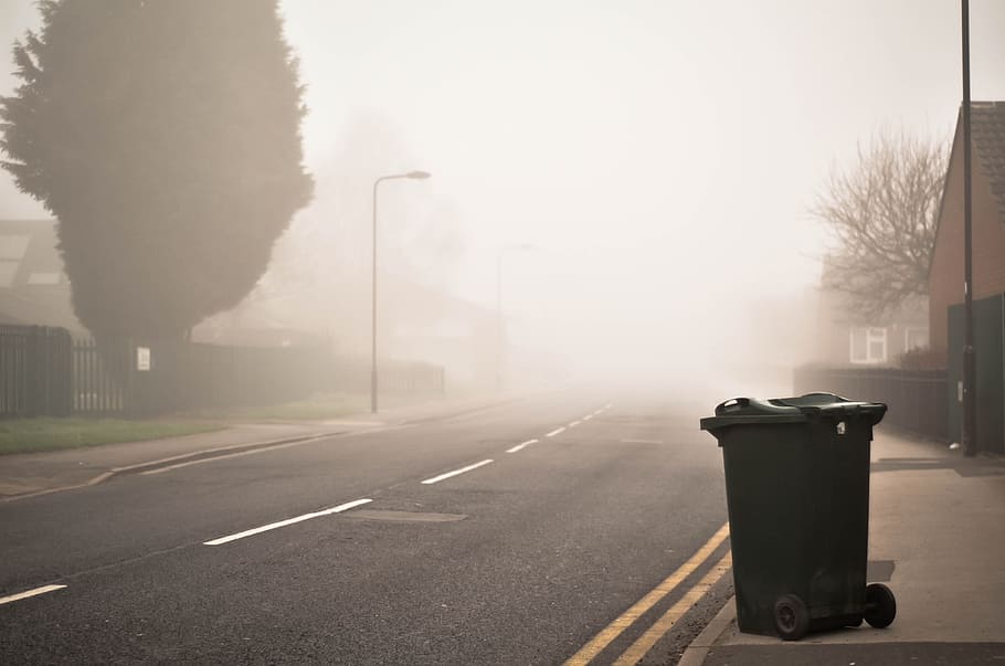 garbage bin, road, street, tree, plant, outdoor, foggy, trash bin, can, transportation