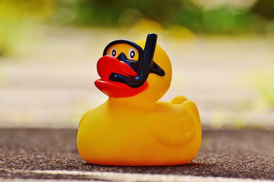 bokeh photo, yellow, duck toy, rubber duck, bath duck, quietscheente, funny summer, cute, sweet, funny