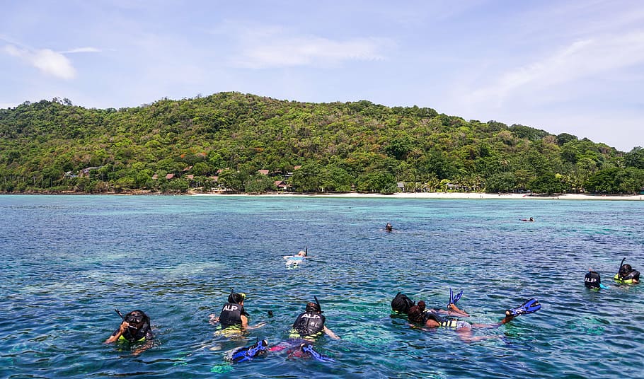 people, swimming, sea, phuket, phi phi tour, thailand, beach, snorkeling, person, leisure