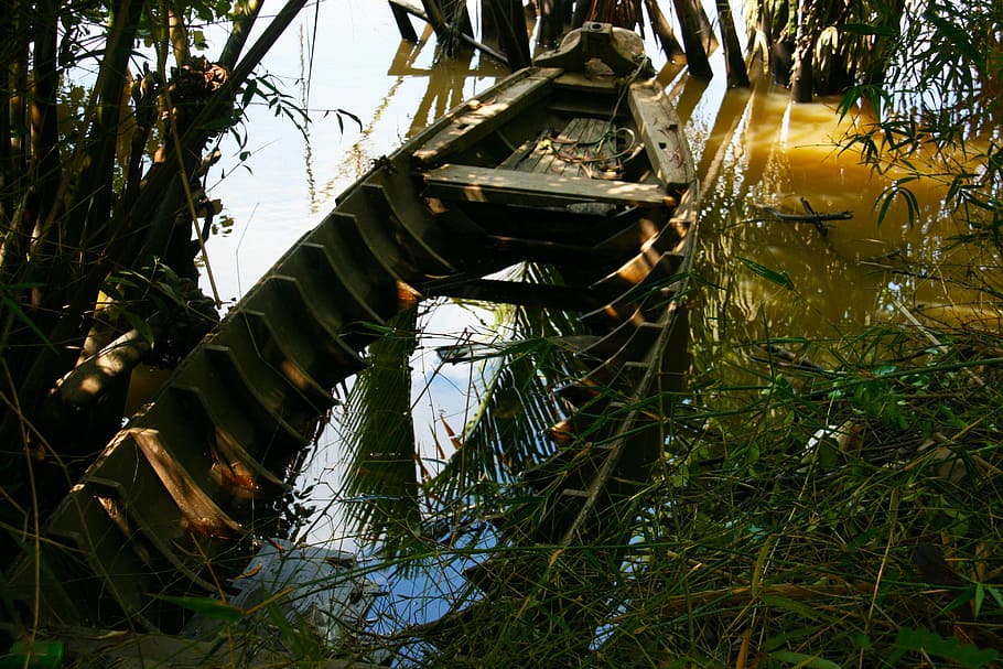 sunken boat, jungle, abandoned, boat, coast, crashed, damaged, danger, ruin, rust