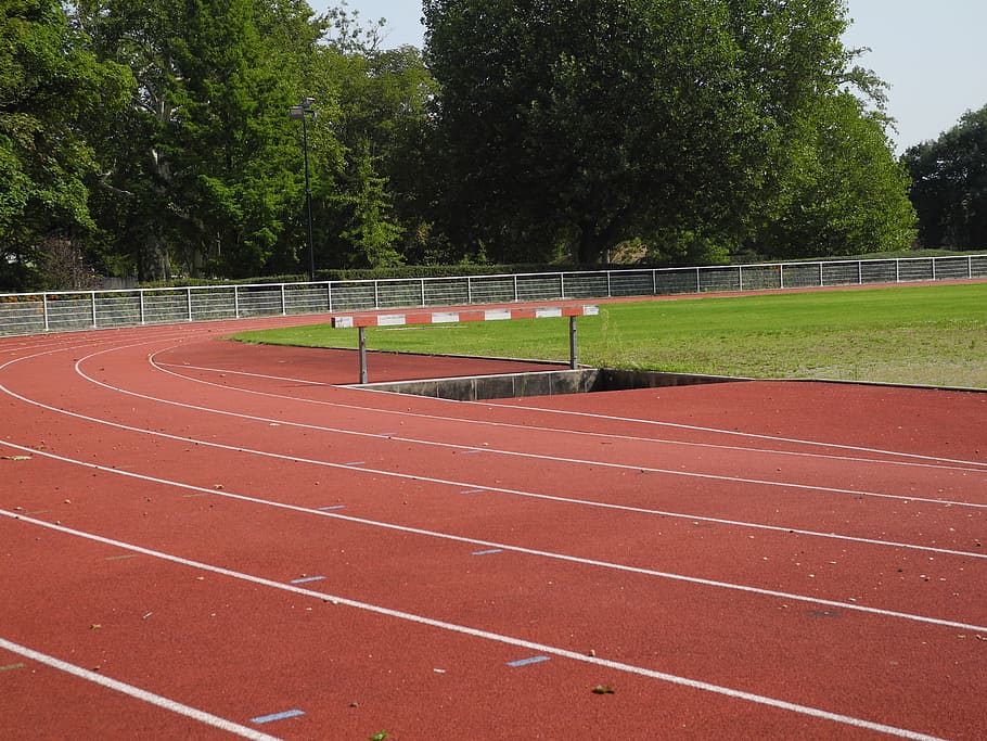 sport, athletics, steeplechase, hedge, racing, sprint, tracks, corridors, stadium, training