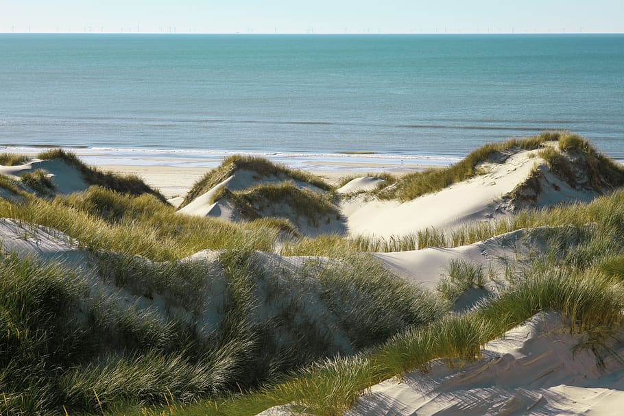 dunes, landscape, sea, north sea, denmark, west coast, water, summer feeling, dune grass, mood