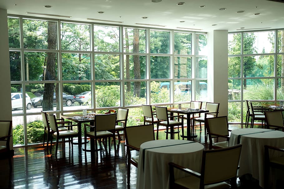 empty, tables, chairs, restaurant, terrace, green, window, tabitha, sunshine, tapi rouge