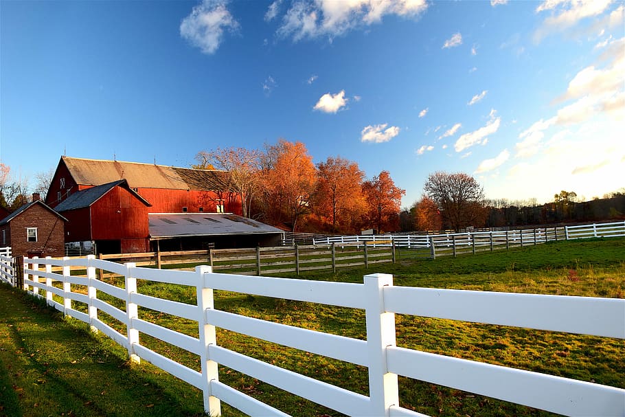 barn, along, white, fence, white fence, rural, farm, agriculture, wood, red