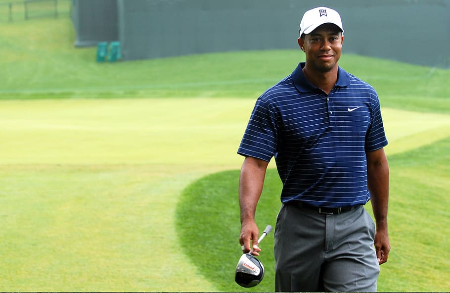Hombre, azul, camiseta, Tiger Woods, golf, golfista, deportes, estrella, famoso, campeón