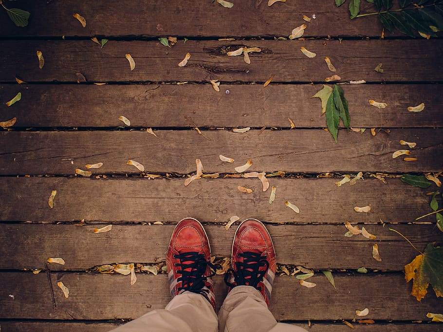 zapatos, cordones, madera, tablones, cubierta, hojas, otoño, naturaleza, samara, sección baja