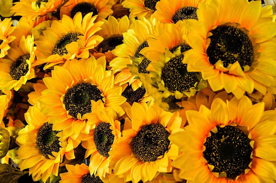 flowers, yellow, sunflowers, fake, bunch, bloom, blossom, summer, plant, flora