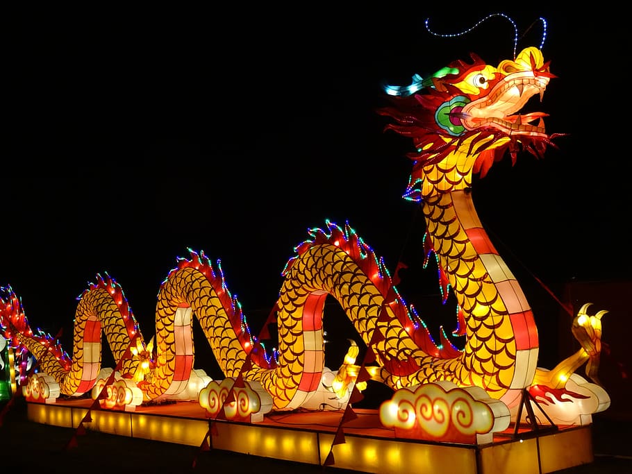 chinese festival of lights, dandenong, victoria, dragon, lanterns, illuminated, representation, night, chinese dragon, lighting equipment