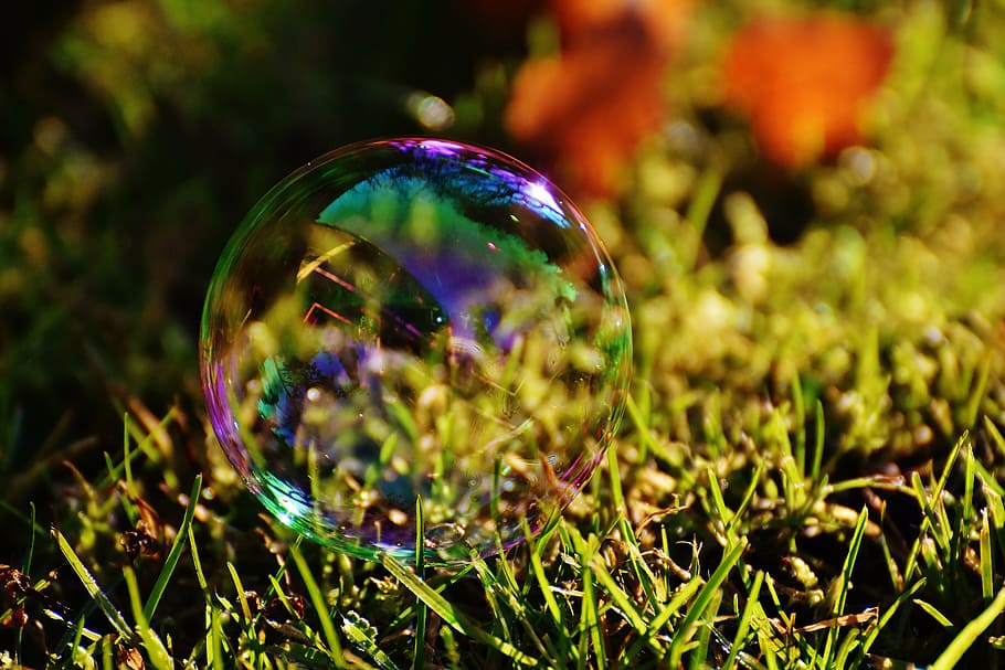 soap bubble, colorful, meadow, grass, balls, soapy water, make soap bubbles, float, mirroring, reflection