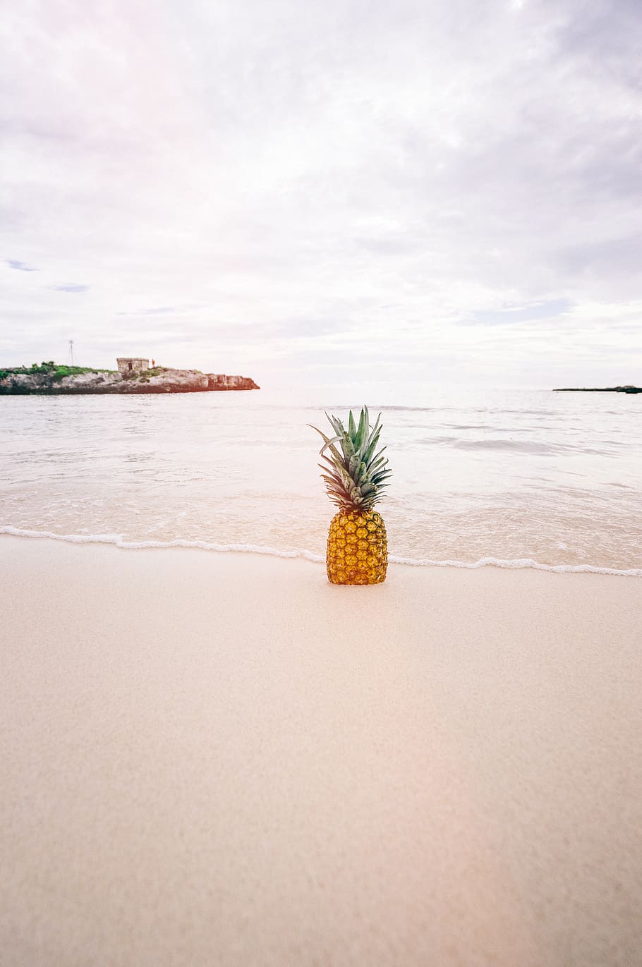 pineapple, dessert, appetizer, fruit, juice, crop, beach, ocean, sea, sand