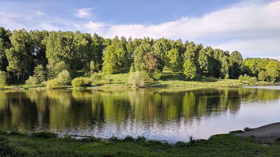 estanque, río, paisaje, bosques, verde, calma, árboles, silencio, parque, lago