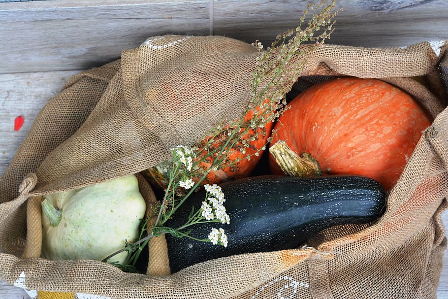 labu, zucchini, patison, koleksi, sayuran, makan, sayur, makanan, musim gugur, kesegaran