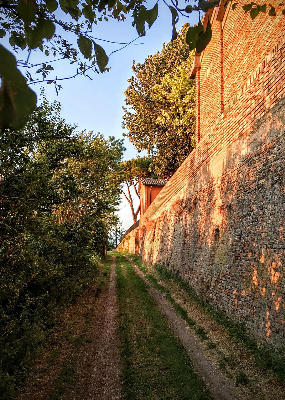 brown, bricked wall screenshot, pathway, concrete, wall, green, trees, building, grass, path