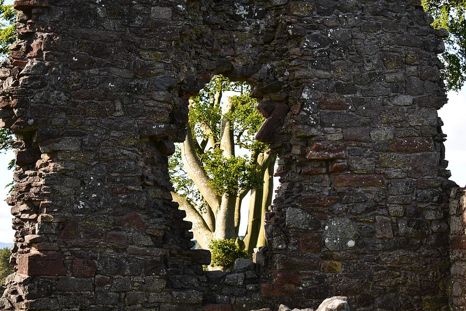 wall, tree, scotland, castle, nature, architecture, hole, old, historic, travel