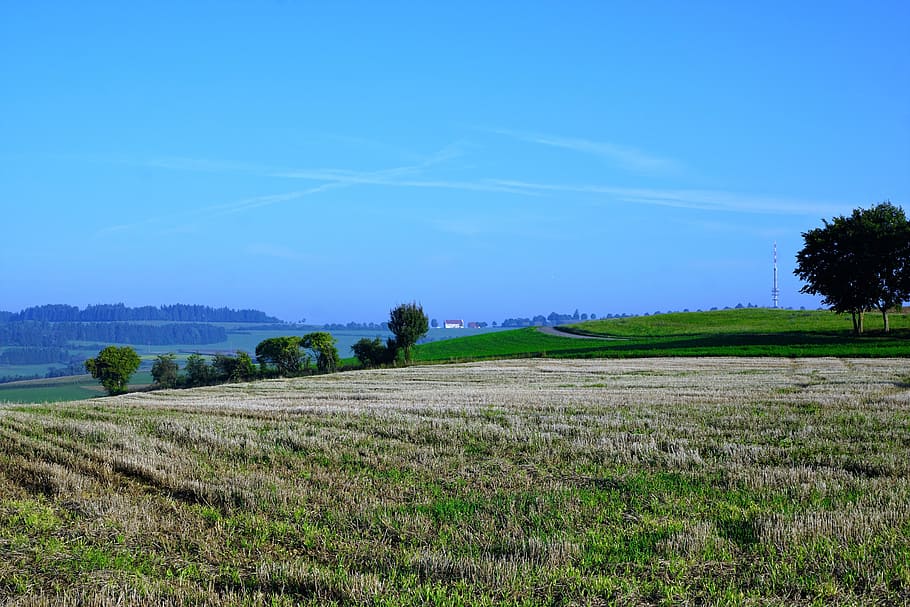 field, meadow, emmingen, liptingen, tuttlingen, switzerland, hegau, miss mountain, summer, harvest