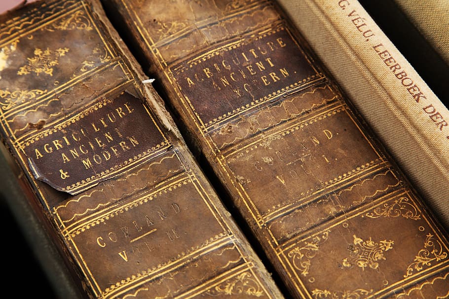 two, &, books, Agriculture, Ancient, Modern, age, antique, book, brown