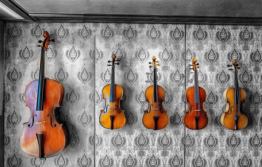 brown, violins, wall, Violin, Music, Instrument, Musical, music, instrument, fiddle, classical