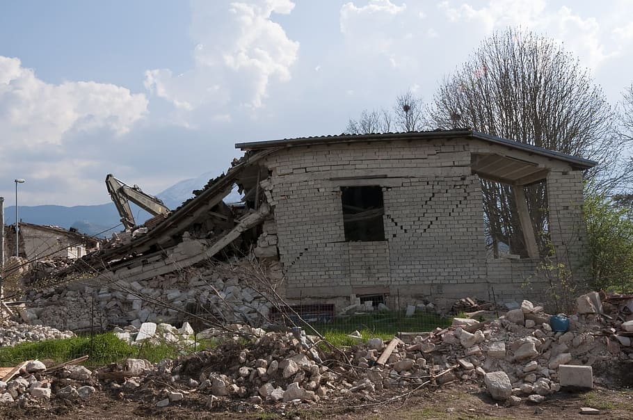 grey, concrete, wall, bare, tree, earthquake, rubble, collapse, disaster, house