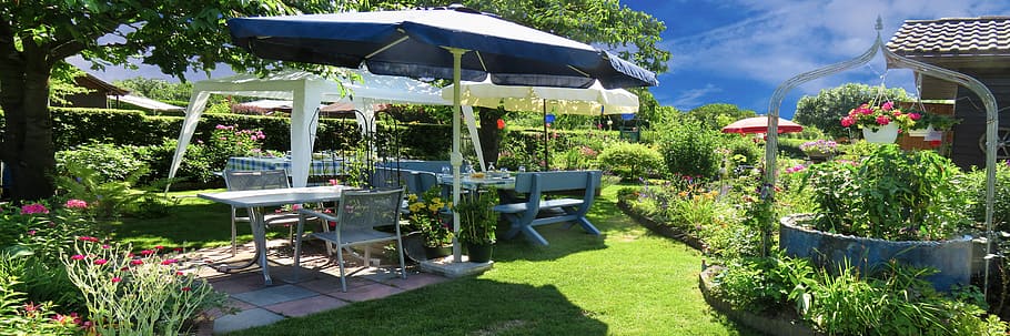white, blue, parasol, benches, green, plants, festival, garden, celebration, summer