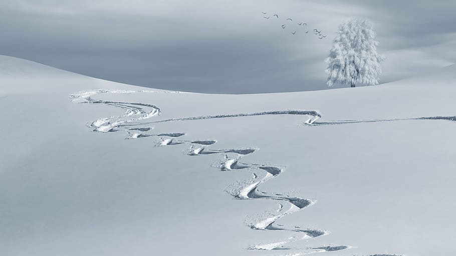 foto de pavimentação de neve, invernal, montanha, neve, paisagem de neve, inverno, frio, árvore, paisagem, fofa