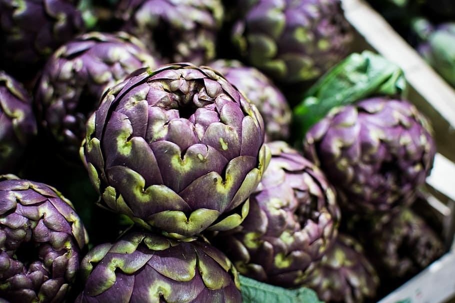 紫アーティチョーク, 紫, アーティチョーク, クローズアップ, 健康的です, ロンドン, 食品, 野菜, 鮮度, 健康食べる