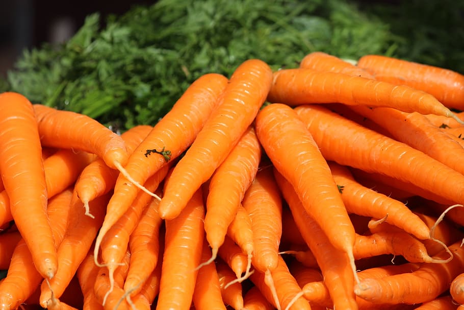 a cenoura, cacho de cenoura, vegetal laranja, vegetal de raiz, raiz vegetal, cenoura, comida e bebida, vegetal, comida, cor laranja