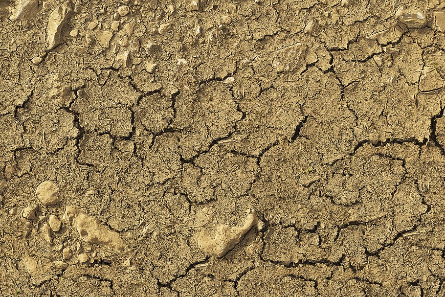 seco, terreno, rachaduras, seca, rachado, terra, solo seco, argila, solo argiloso, terra arável
