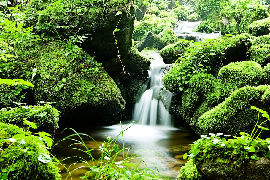 photography, waterfalls, forest, water, valley, nature, landscape, summer, green, korea