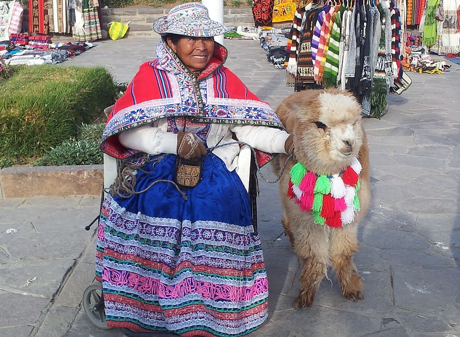 ラマ, ペルー, チバイ, アルパカ, 装飾, 衣装, 伝統, 動物, 市場を保持している女性, 衣類