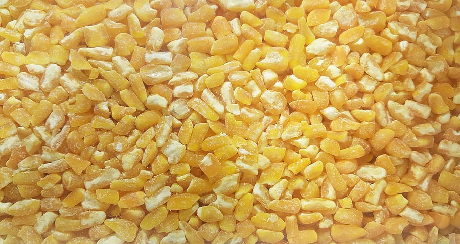 Biji-bijian, Kuning, Jagung, Sereal, biji-bijian kuning, bubur jagung, tekstur, makanan, latar belakang, close-up