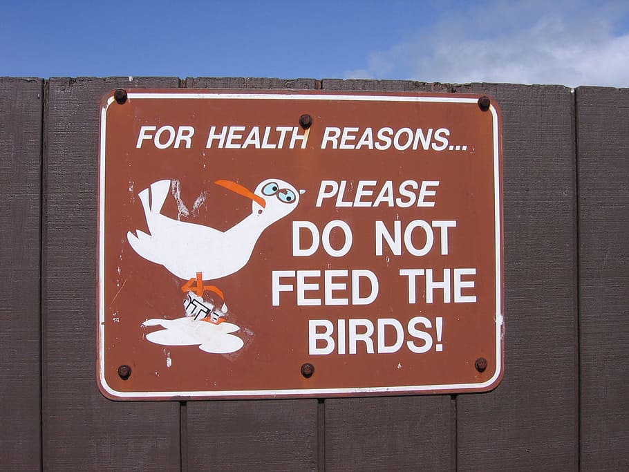 señales, prohibir, seguridad, texto, temas animales, animal, pájaro, comunicación, ninguna gente, fauna animal