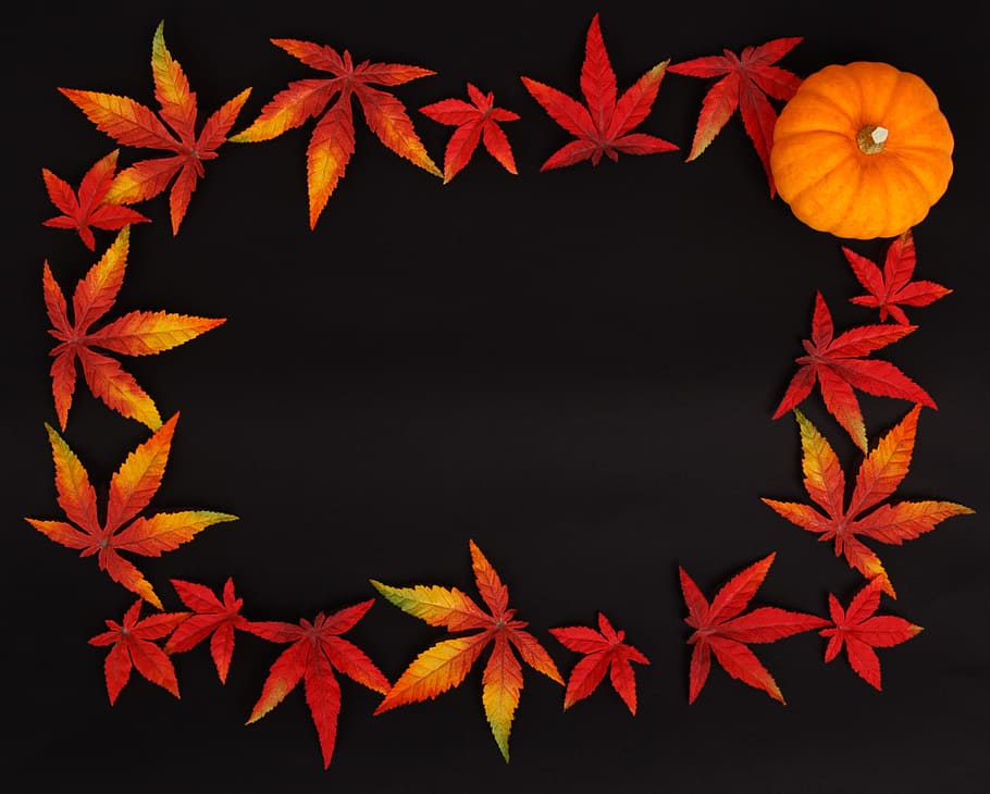orange leaf lot, pumpkin, autumn, background, dark, frame, color, decoration, fall, leaf