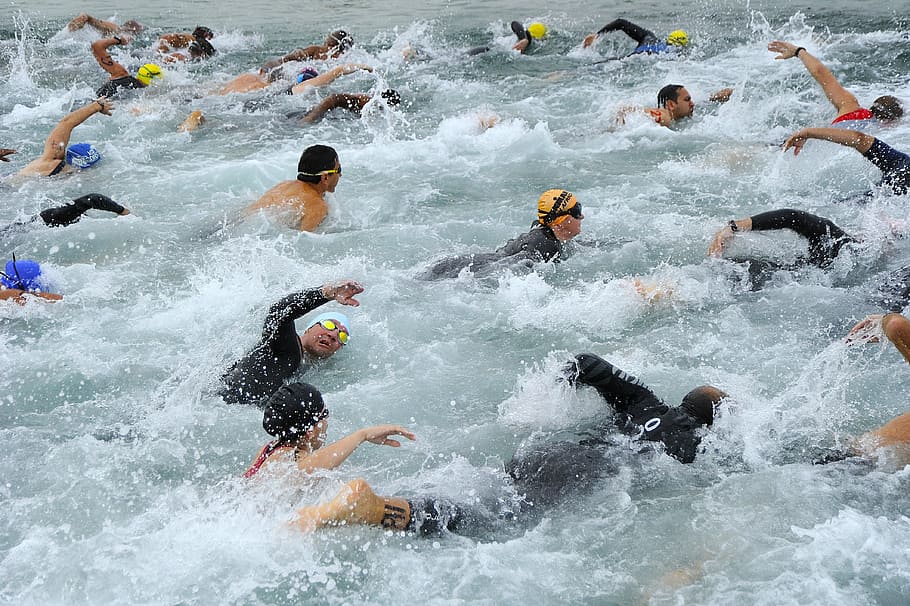 kelompok, orang, berenang, tubuh, air, bahrain, triathlon, olahraga, laut, samudra