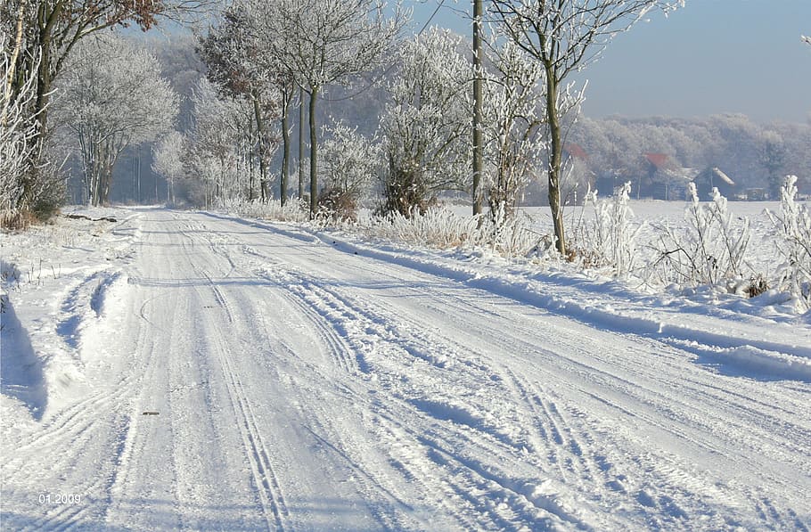Winter'S, Day, Snow Cover, winter's day, lane, landschaftsschtzgebiet, ffh, homestead, snow, stuck in a rut
