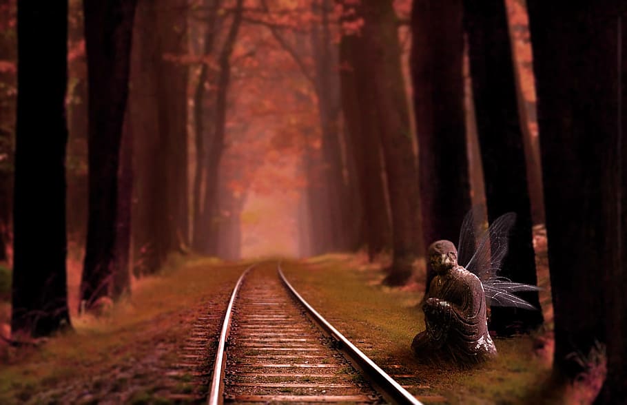 요정, 옆에, 기차 레일, 둘러싸인, 키가 큰, 나무 그림, 공상, 마법, 자연, 숲