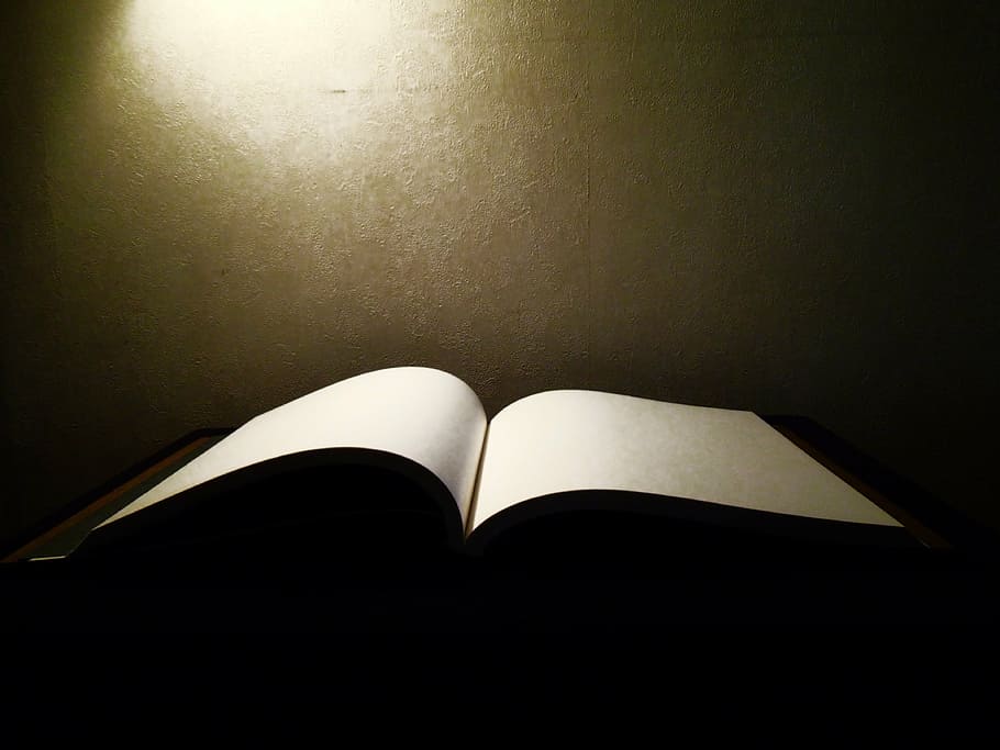 book, page, open, open book, blank page, magic book, light, paper, indoors, publication