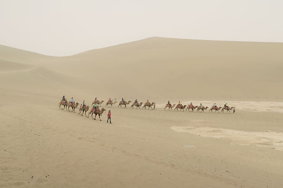desert, mingsha, caravans, crowd, group of people, large group of people, real people, land, landscape, men