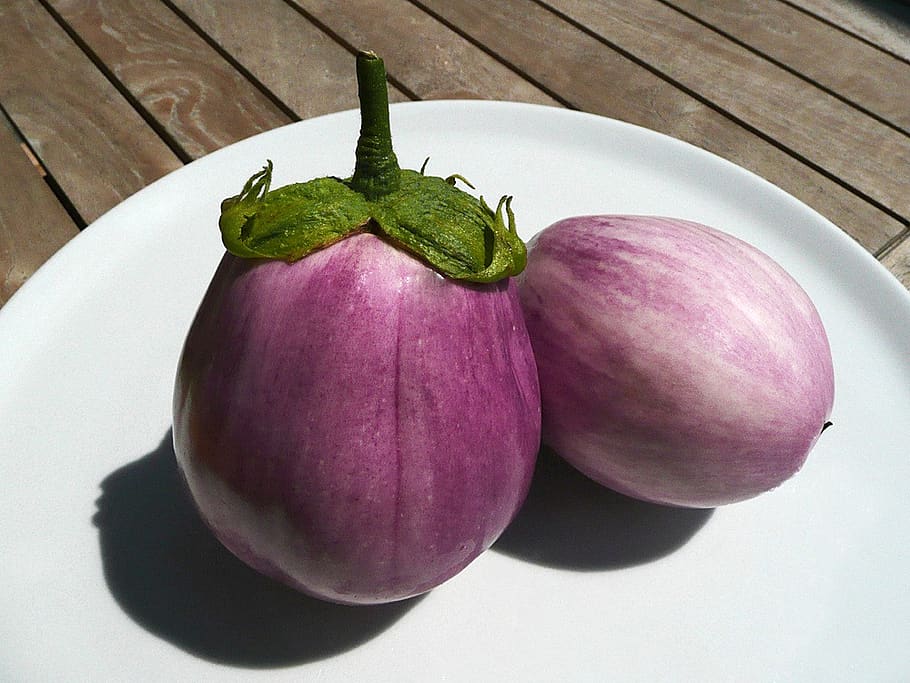eggplant, melanzana, cook, food, eat, solanum melongena, nachtschattengewächs, spherical, food and drink, freshness