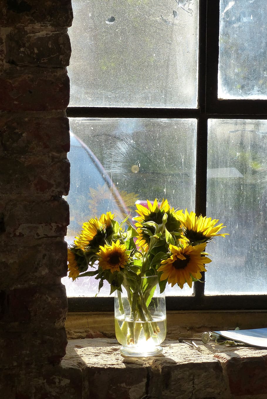 sunflower, clear, glass vase, back light, bright, yellow, flower, old brickyard, factory, industry
