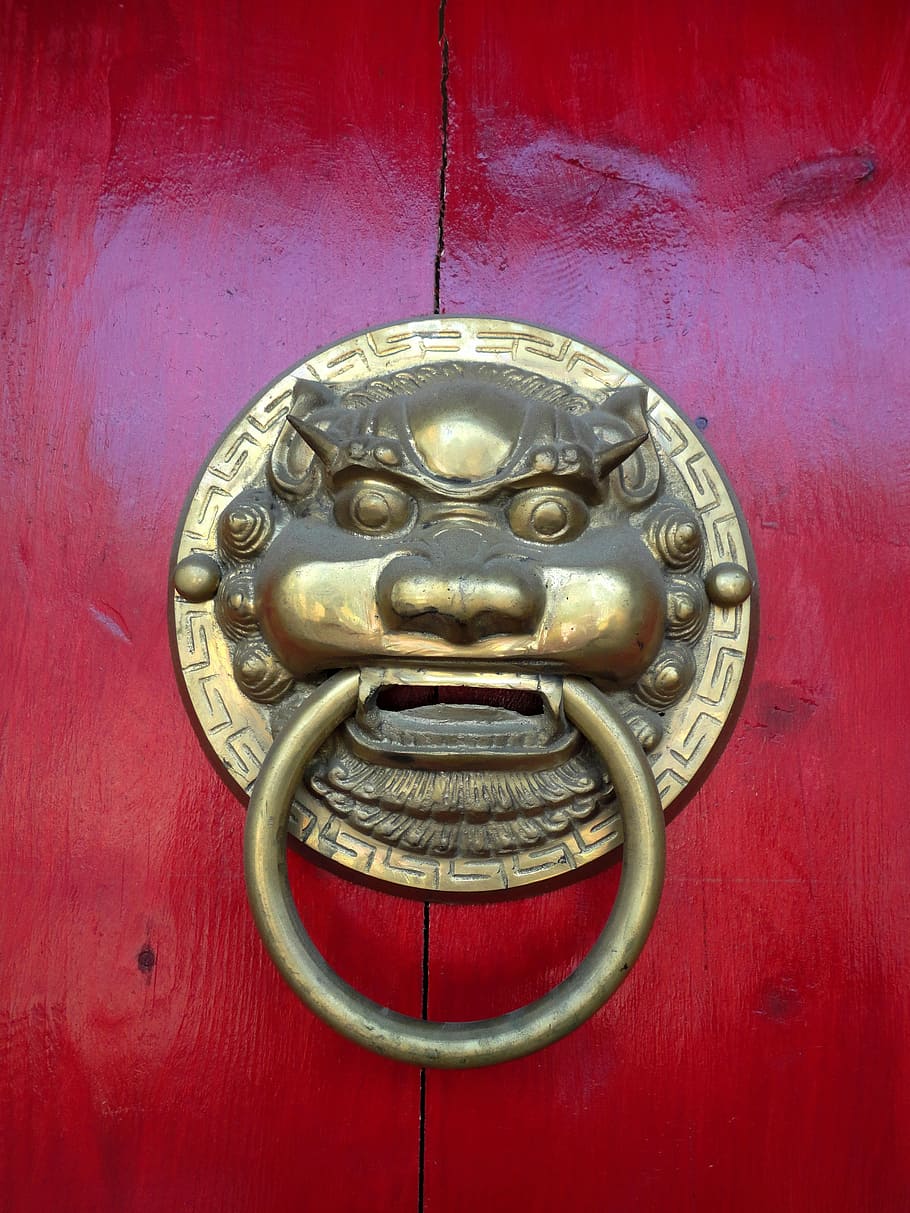 gold lion door knocker, red, wooden, door, doorknocker, wood, metal, house entrance, handle, old