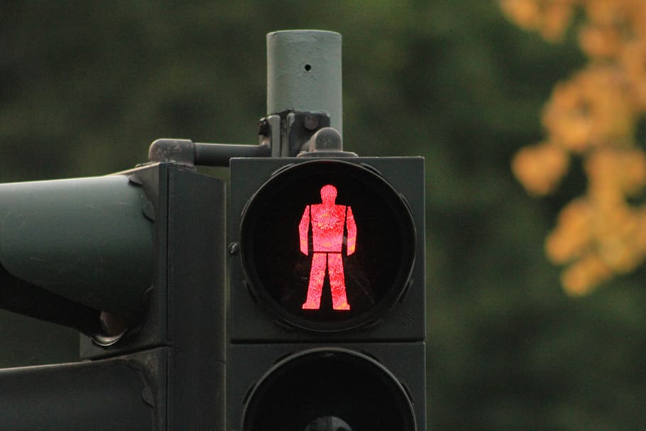 traffic light, light, traffic, signal, green, stop, street, red, safety, sign
