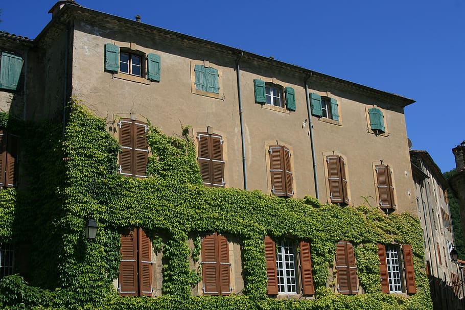 home, ivy, south of france, building exterior, architecture, building, window, built structure, residential district, plant
