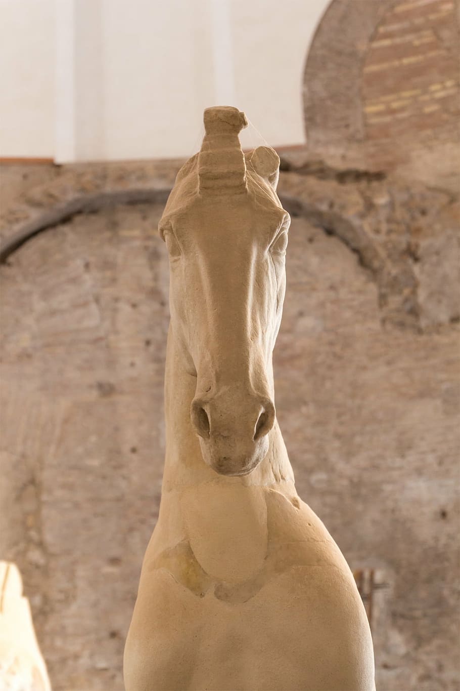 horse, statue, rome, italy, marble, antique, stature, focus on foreground, rear view, day