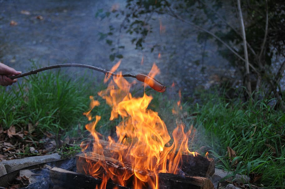 api unggun, cookout, api, sosis, bbq, pembakaran, fenomena api - alami, panas - suhu, alam, hari